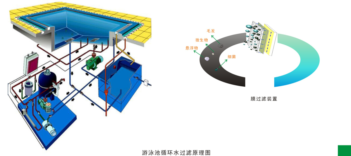 游(yóu)泳(yǒng)池水循(xún)环净化处理工程